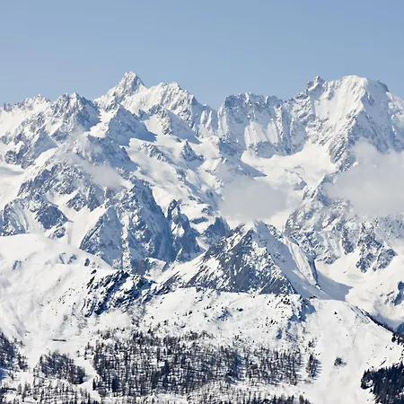 ヴァネッサ ヴェルビエール